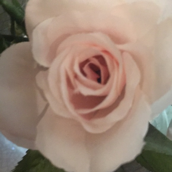 Meet your Posher, Jamie - Picture 1 of 1